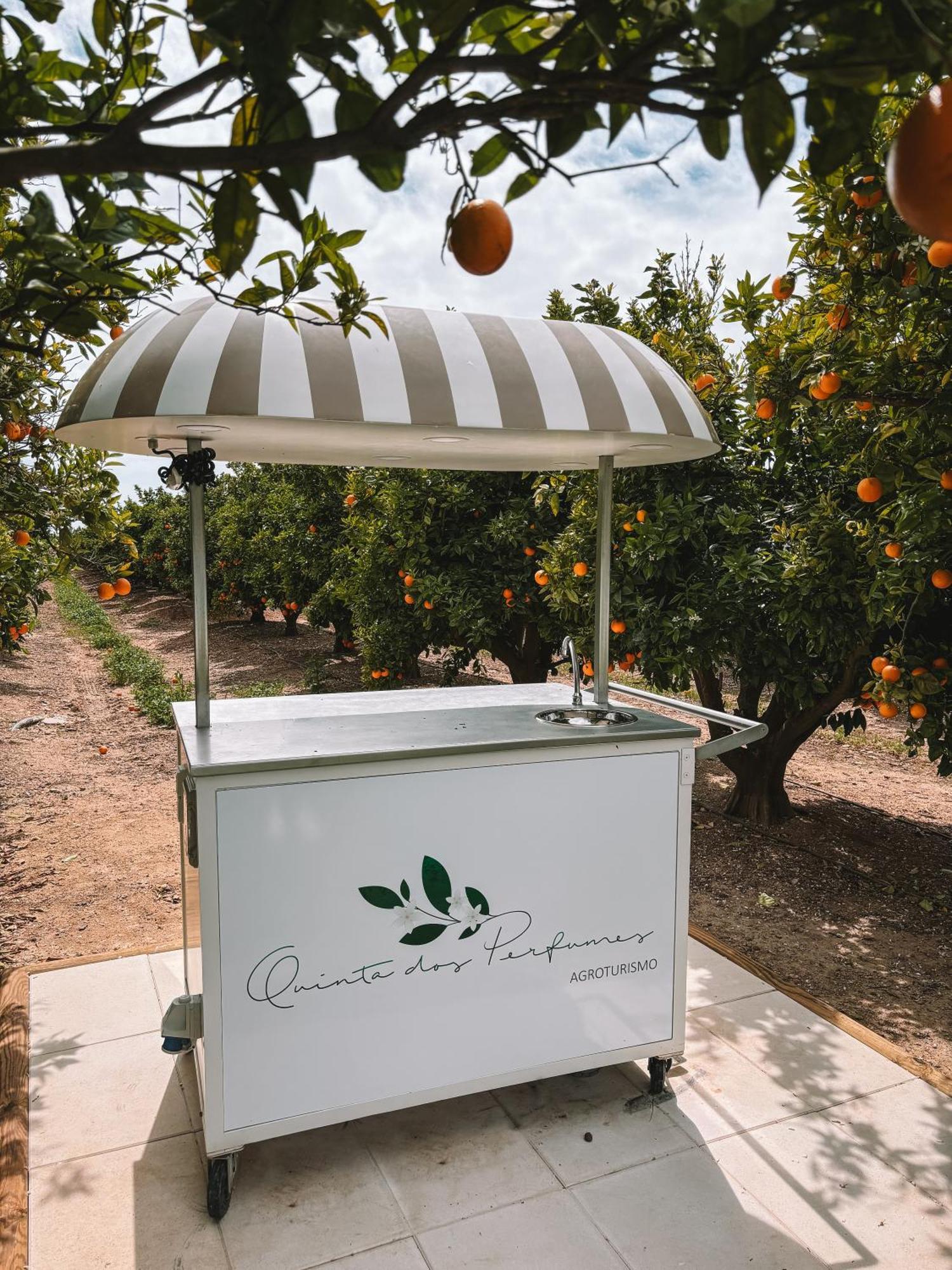 Quinta Dos Perfumes Villa Tavira Exteriör bild