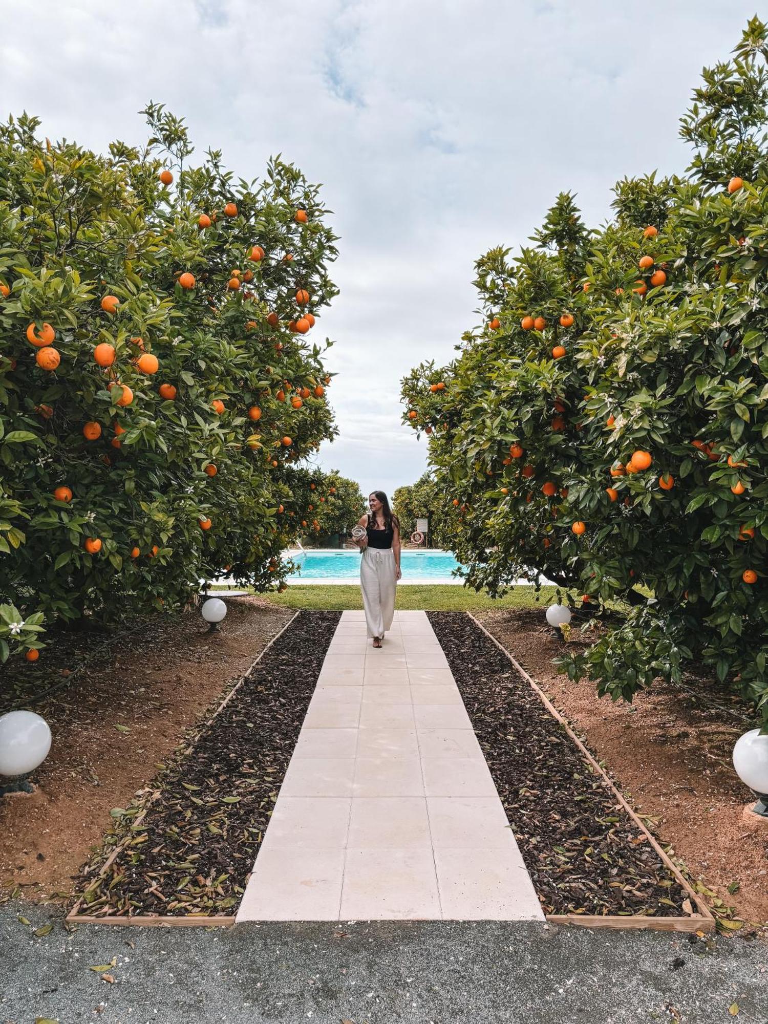 Quinta Dos Perfumes Villa Tavira Exteriör bild