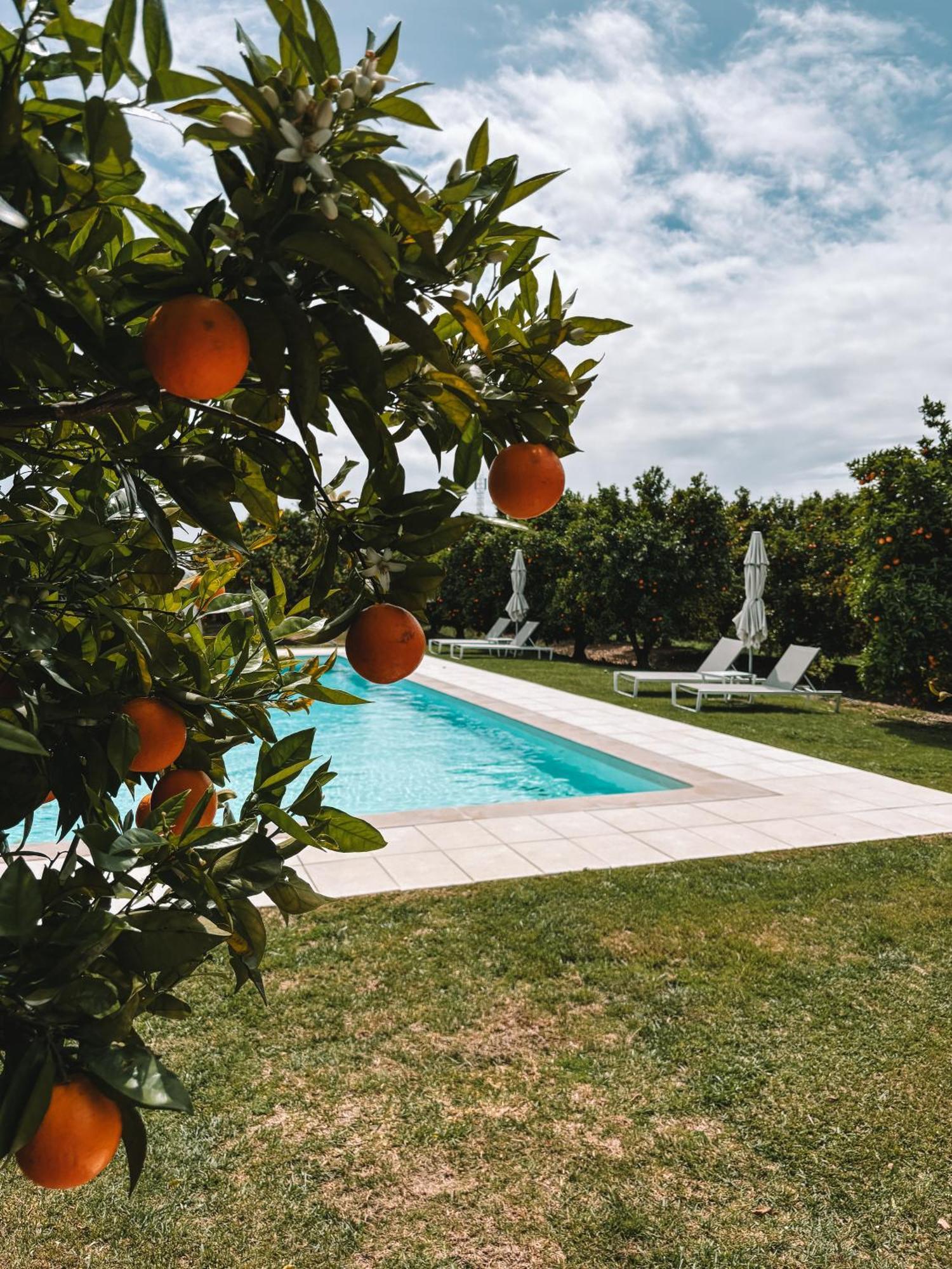 Quinta Dos Perfumes Villa Tavira Exteriör bild
